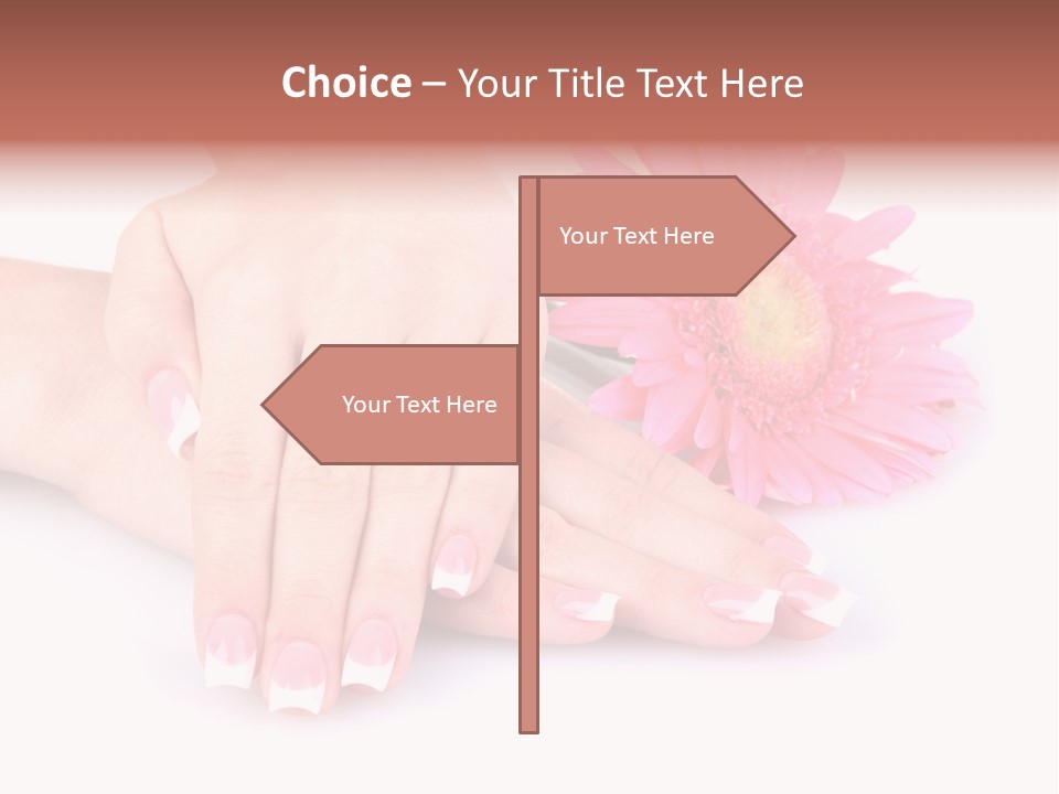 Wellness Background Camomile PowerPoint Template