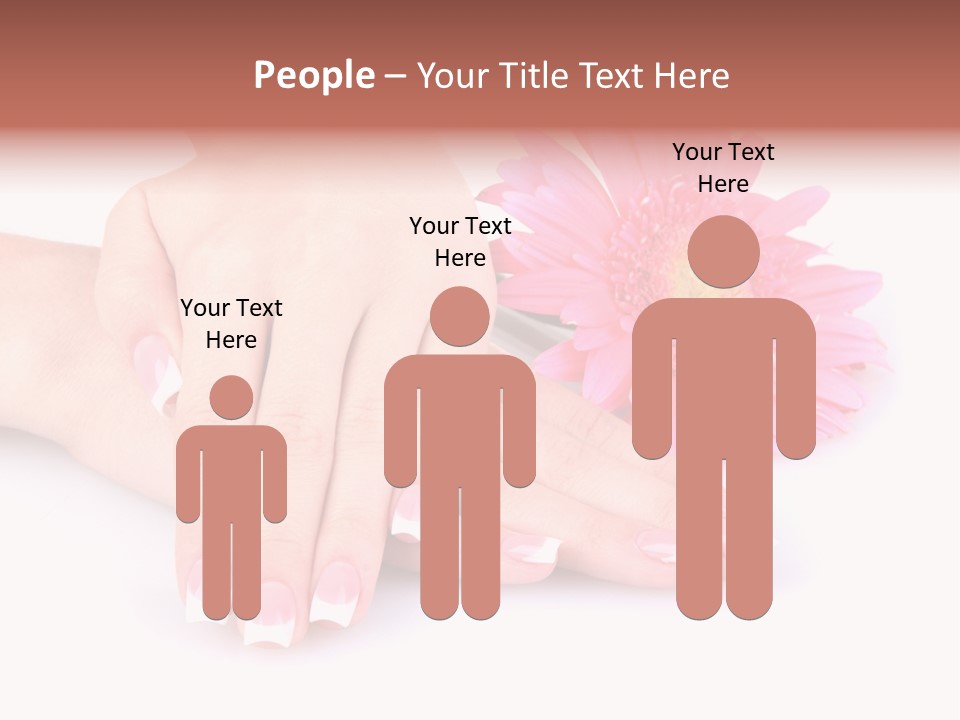 Wellness Background Camomile PowerPoint Template