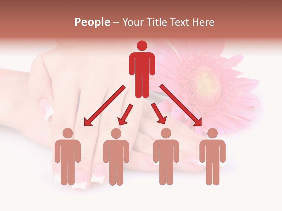 Wellness Background Camomile PowerPoint Template