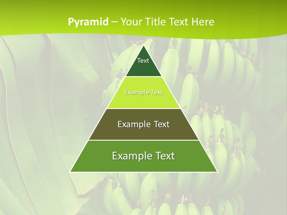Produce Green Vegetarian PowerPoint Template