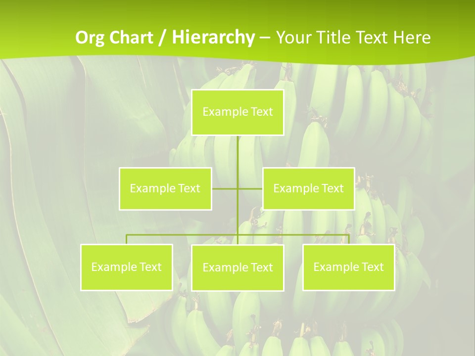 Produce Green Vegetarian PowerPoint Template
