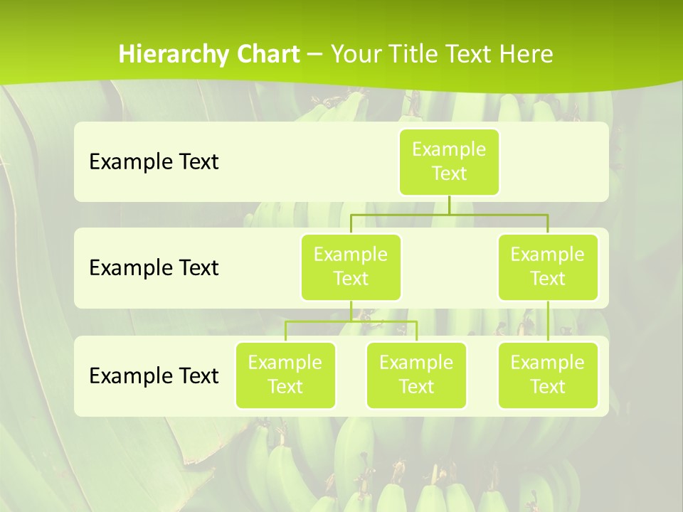 Produce Green Vegetarian PowerPoint Template