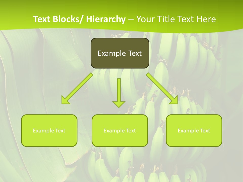 Produce Green Vegetarian PowerPoint Template