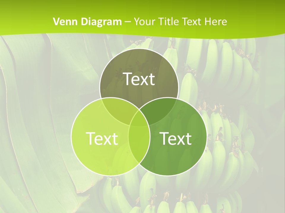 Produce Green Vegetarian PowerPoint Template