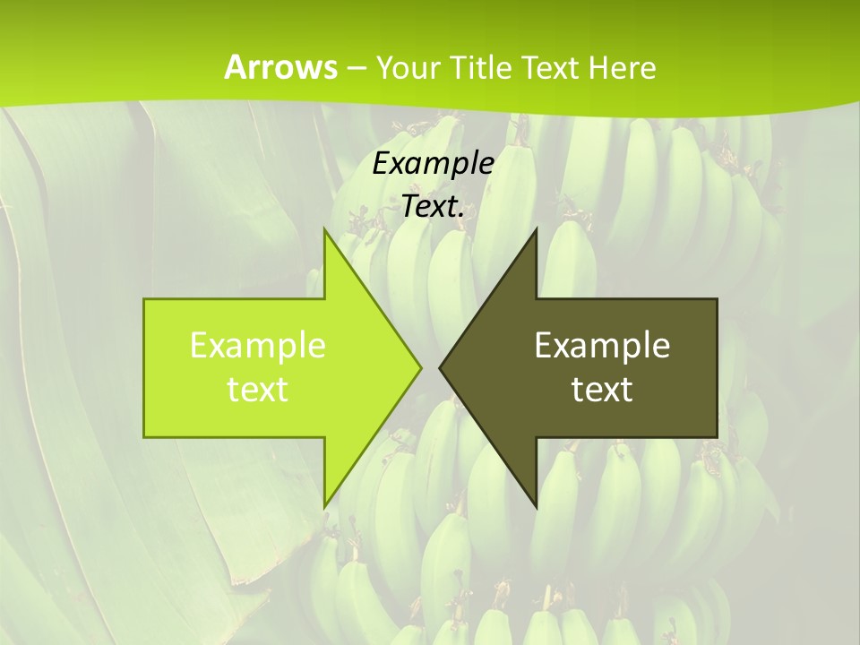 Produce Green Vegetarian PowerPoint Template