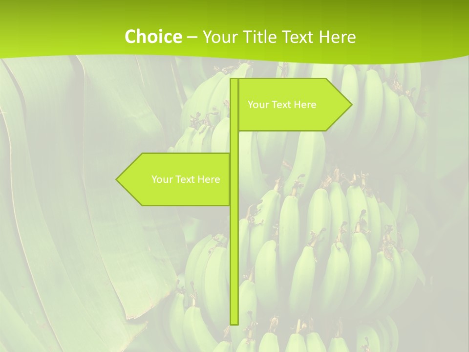 Produce Green Vegetarian PowerPoint Template