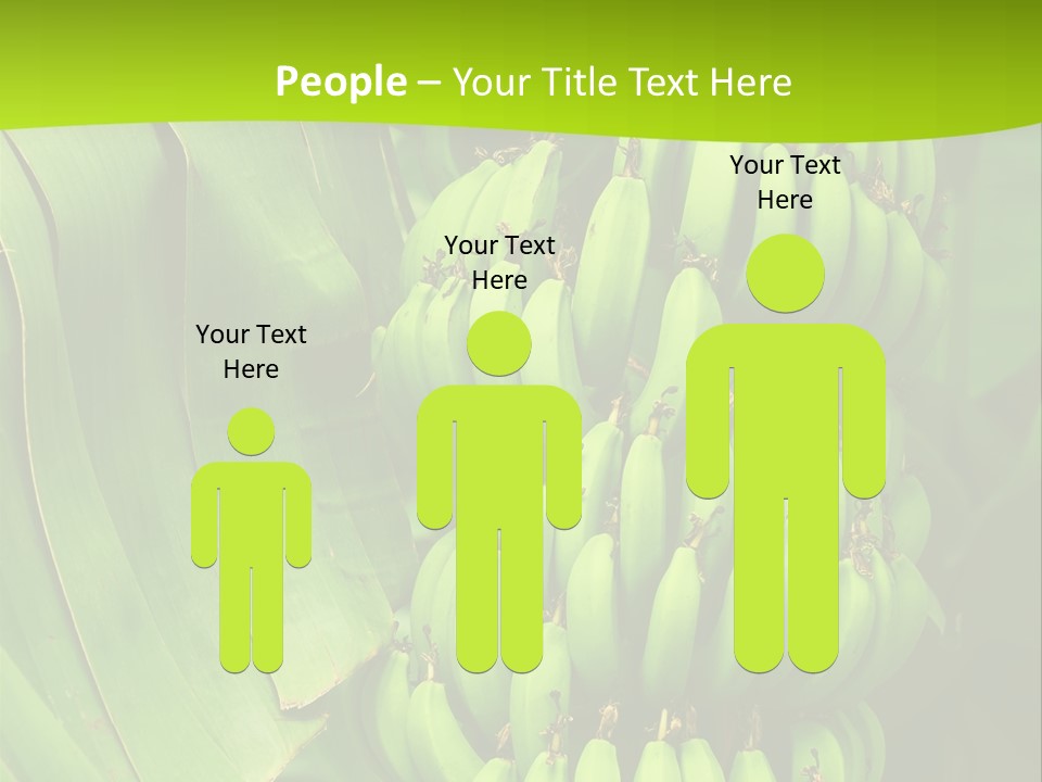 Produce Green Vegetarian PowerPoint Template