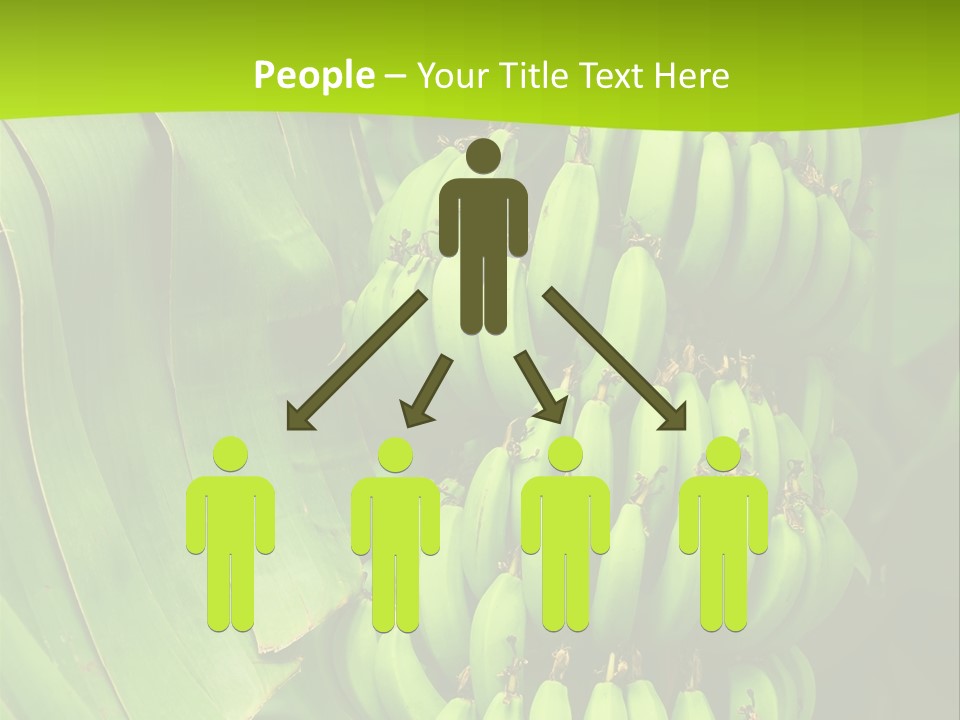 Produce Green Vegetarian PowerPoint Template