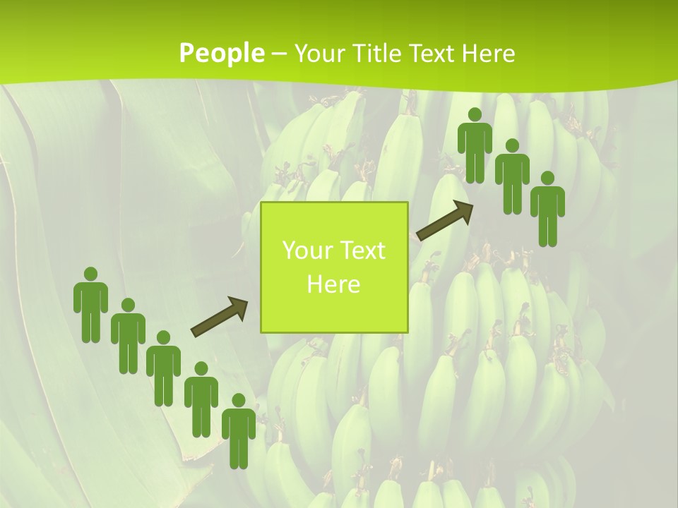 Produce Green Vegetarian PowerPoint Template