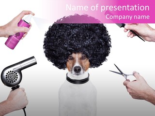 Professional Care Wig PowerPoint Template