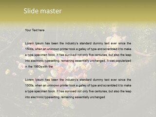 Gorgeous Nature Natural PowerPoint Template