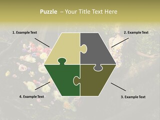 Gorgeous Nature Natural PowerPoint Template