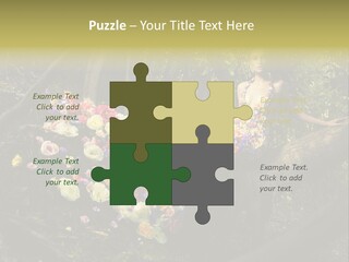 Gorgeous Nature Natural PowerPoint Template