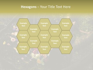 Gorgeous Nature Natural PowerPoint Template