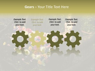 Gorgeous Nature Natural PowerPoint Template