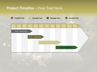 Gorgeous Nature Natural PowerPoint Template