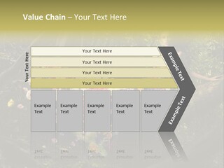 Gorgeous Nature Natural PowerPoint Template