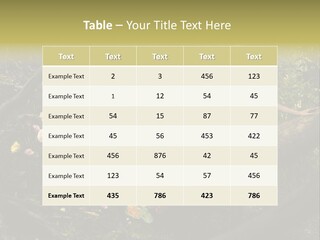 Gorgeous Nature Natural PowerPoint Template