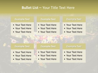 Gorgeous Nature Natural PowerPoint Template