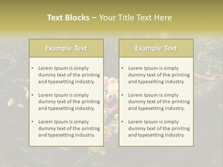 Gorgeous Nature Natural PowerPoint Template