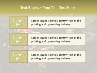 Gorgeous Nature Natural PowerPoint Template