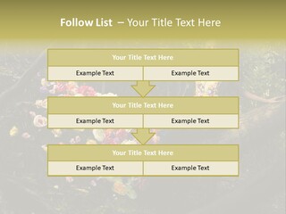 Gorgeous Nature Natural PowerPoint Template