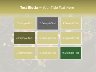 Gorgeous Nature Natural PowerPoint Template
