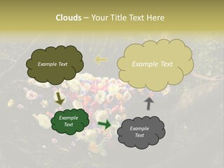 Gorgeous Nature Natural PowerPoint Template
