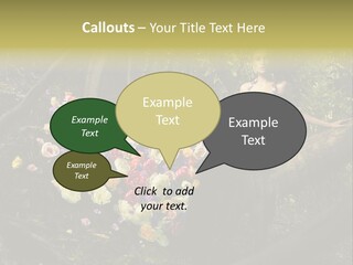 Gorgeous Nature Natural PowerPoint Template