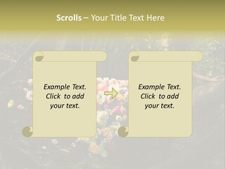 Gorgeous Nature Natural PowerPoint Template