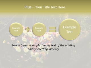 Gorgeous Nature Natural PowerPoint Template