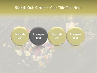 Gorgeous Nature Natural PowerPoint Template