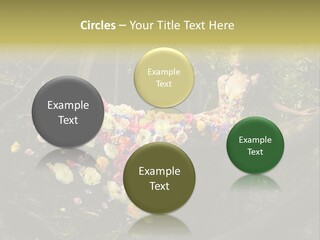 Gorgeous Nature Natural PowerPoint Template