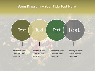 Gorgeous Nature Natural PowerPoint Template