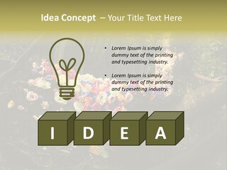 Gorgeous Nature Natural PowerPoint Template