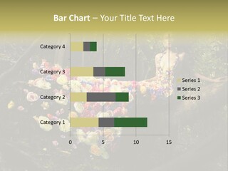 Gorgeous Nature Natural PowerPoint Template