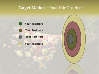 Gorgeous Nature Natural PowerPoint Template