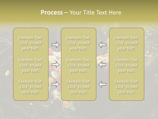 Gorgeous Nature Natural PowerPoint Template