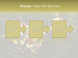 Gorgeous Nature Natural PowerPoint Template