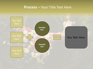 Gorgeous Nature Natural PowerPoint Template