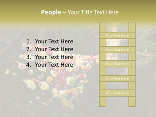 Gorgeous Nature Natural PowerPoint Template