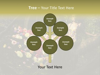 Gorgeous Nature Natural PowerPoint Template