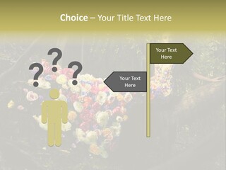 Gorgeous Nature Natural PowerPoint Template