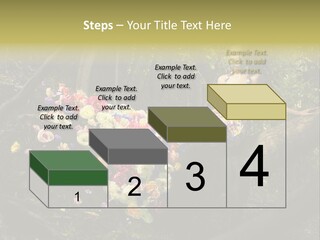Gorgeous Nature Natural PowerPoint Template