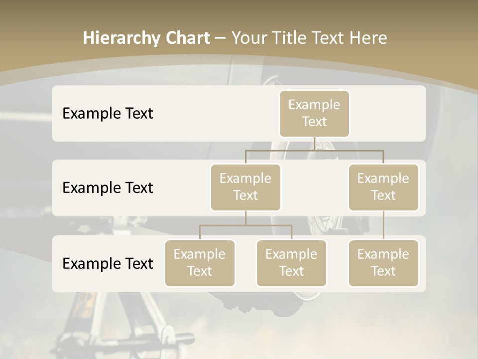 Grey Business Check PowerPoint Template