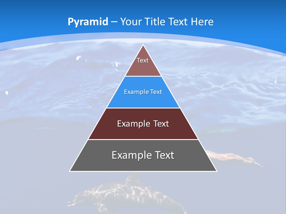 Ocean Marine Swimmer PowerPoint Template