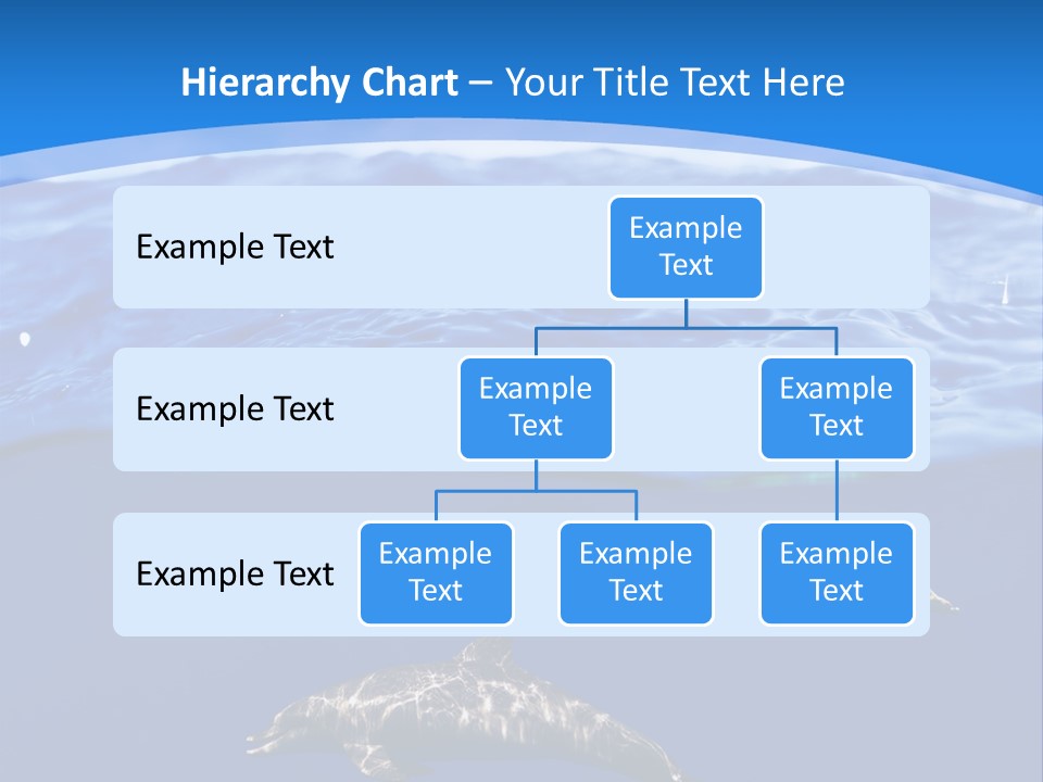 Ocean Marine Swimmer PowerPoint Template