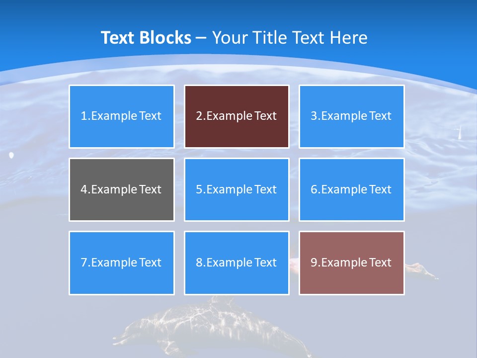 Ocean Marine Swimmer PowerPoint Template