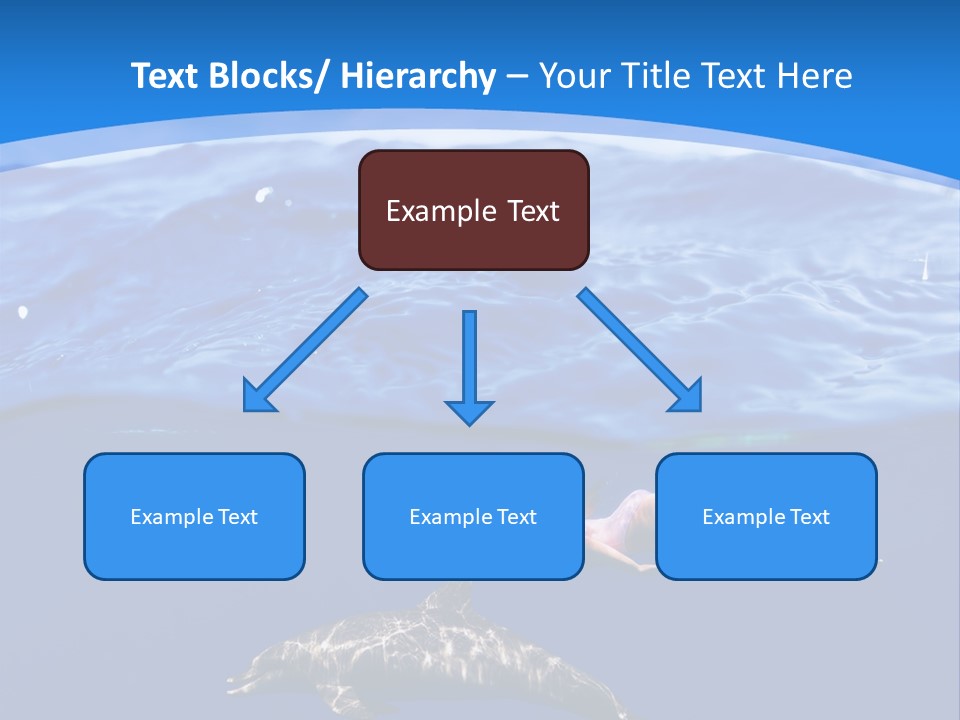 Ocean Marine Swimmer PowerPoint Template