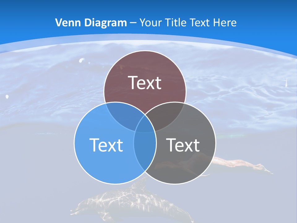 Ocean Marine Swimmer PowerPoint Template